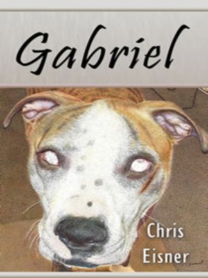 cover image of Gabriel
